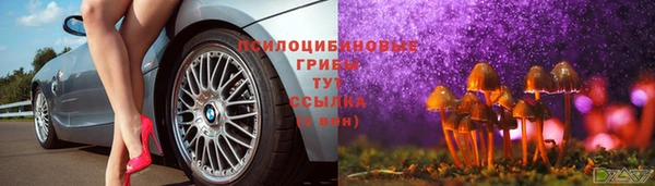 герыч Тайга
