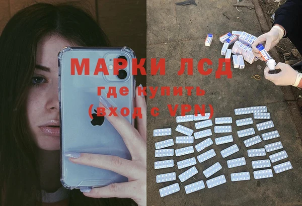 гидра Бронницы