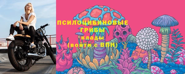 первитин Бородино