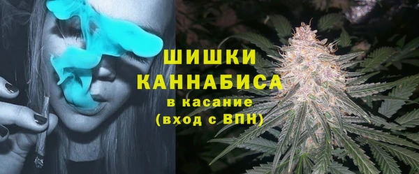 PSILOCYBIN Сясьстрой