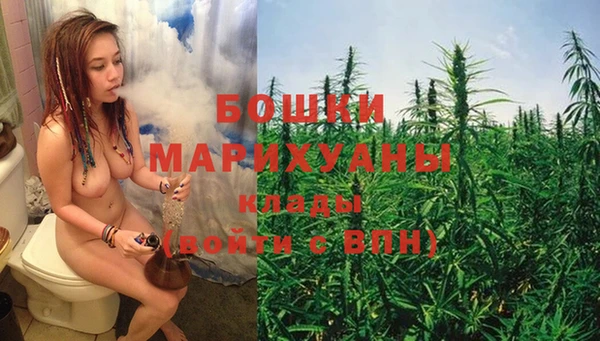 гидра Бронницы