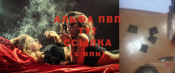 гидра Бронницы