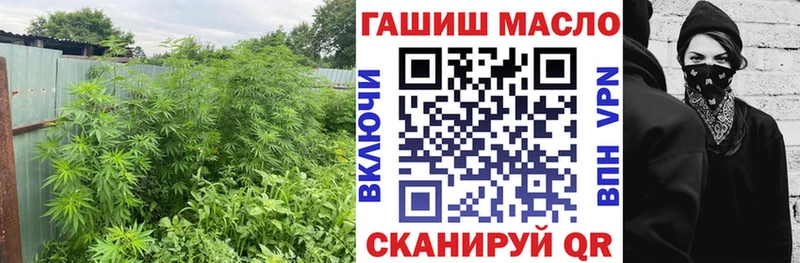 где найти   Можайск  ТГК гашишное масло 